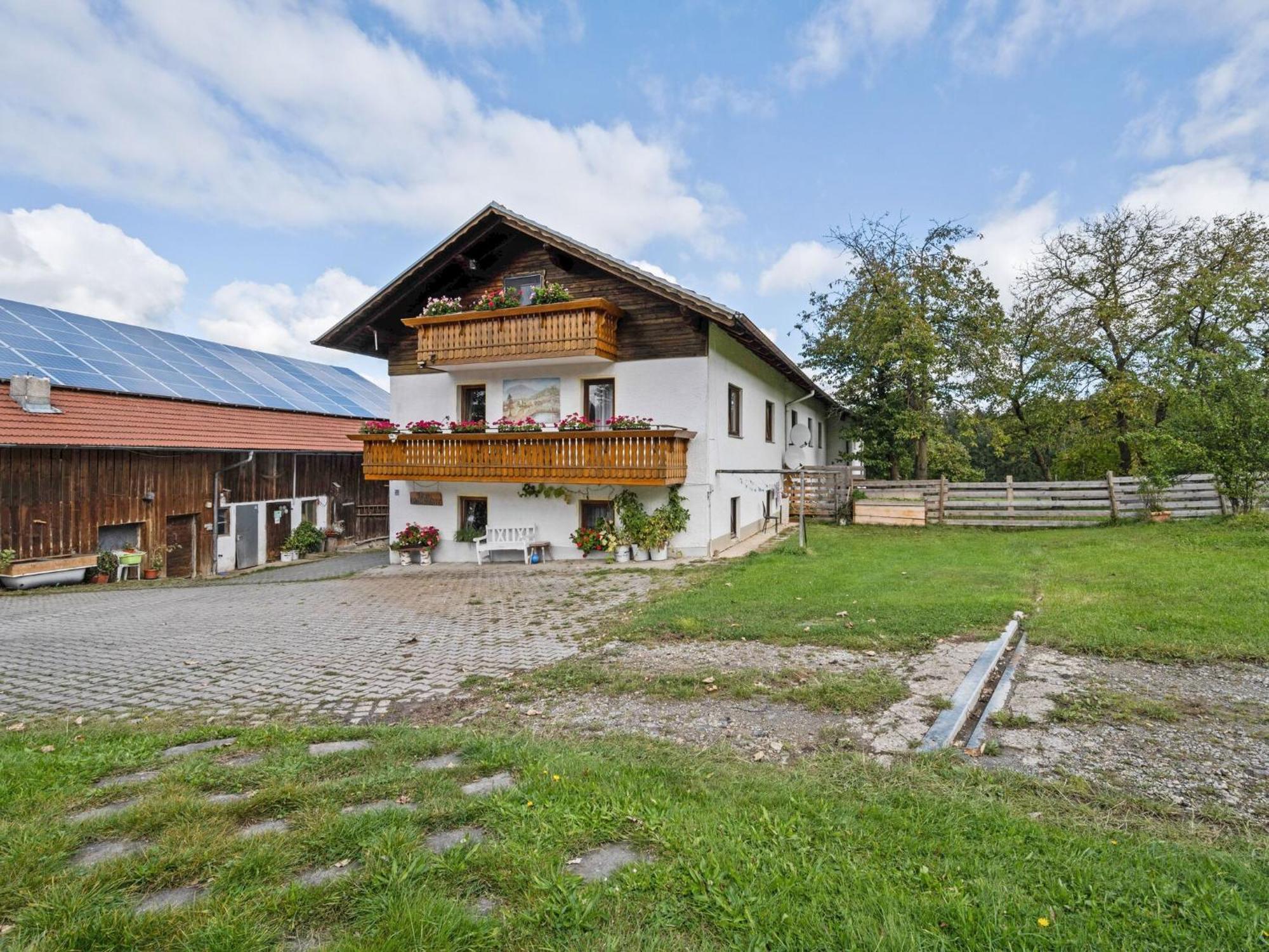 Flat On A Farm Near The Arber Ski Area Neukirchen beim Heiligen Blut Eksteriør bilde
