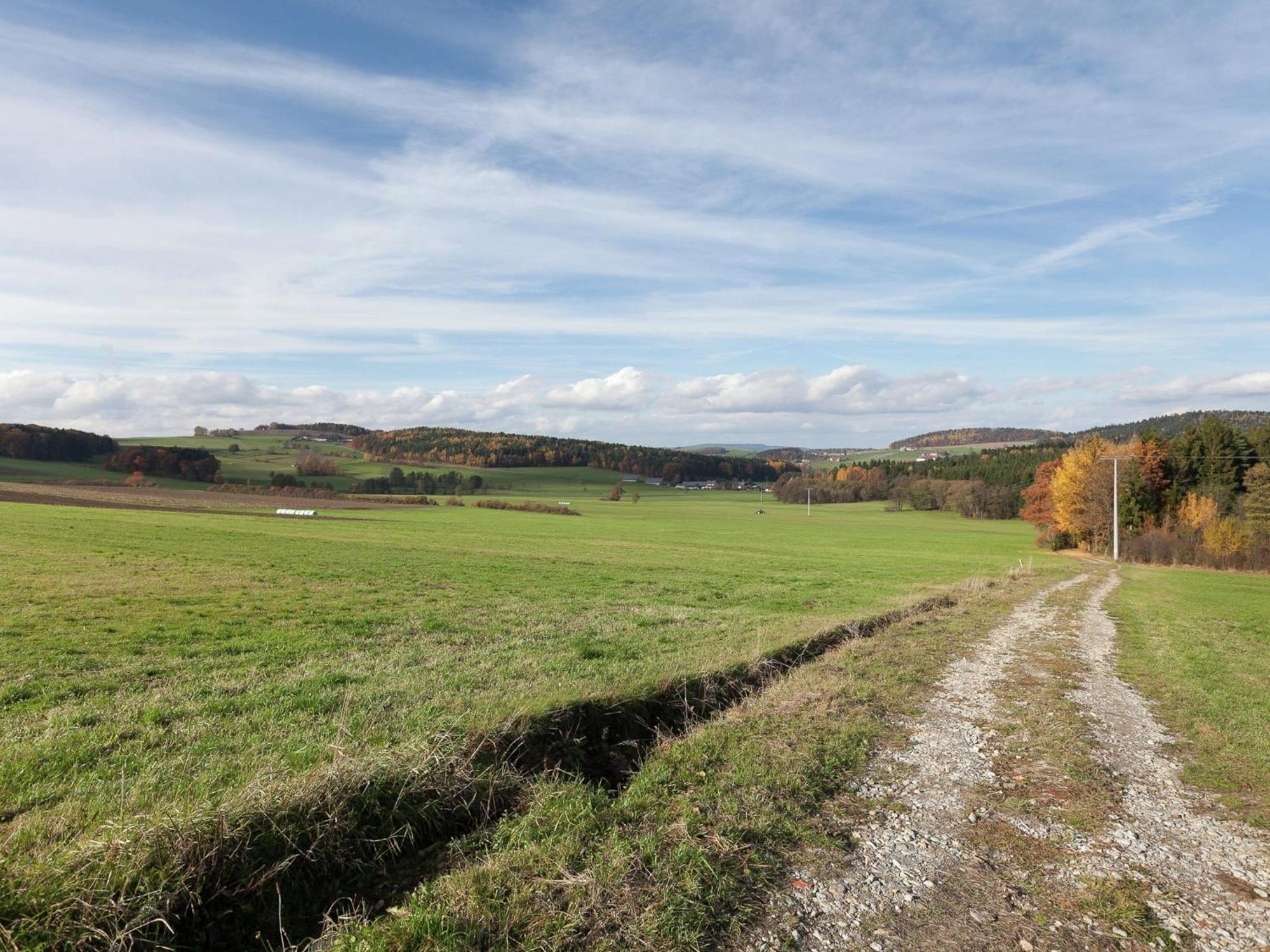 Flat On A Farm Near The Arber Ski Area Neukirchen beim Heiligen Blut Eksteriør bilde