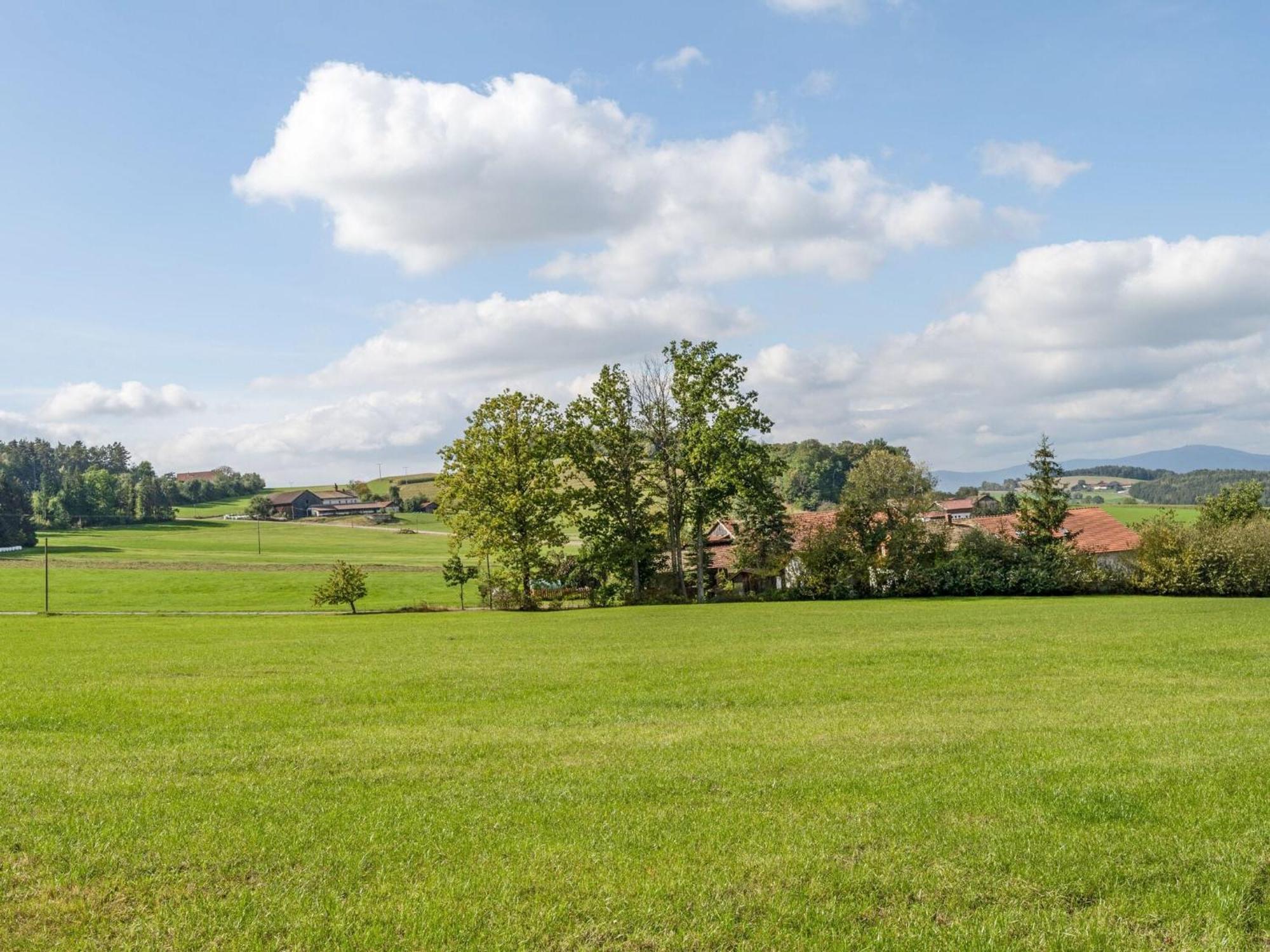 Flat On A Farm Near The Arber Ski Area Neukirchen beim Heiligen Blut Eksteriør bilde